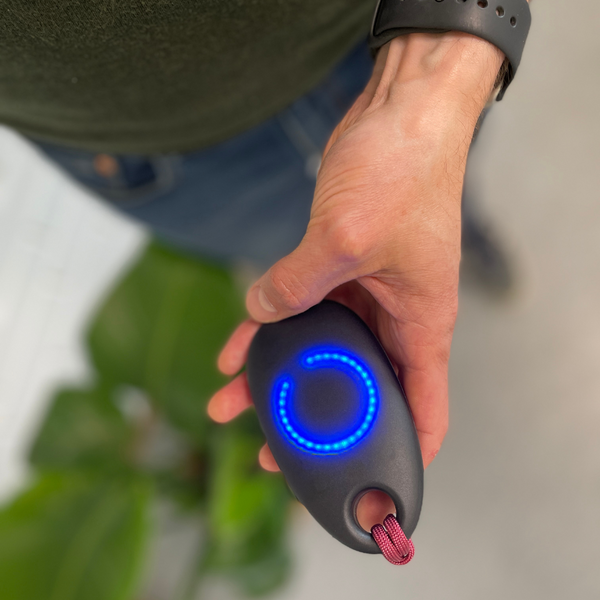 BiBi - Breathing Buddy