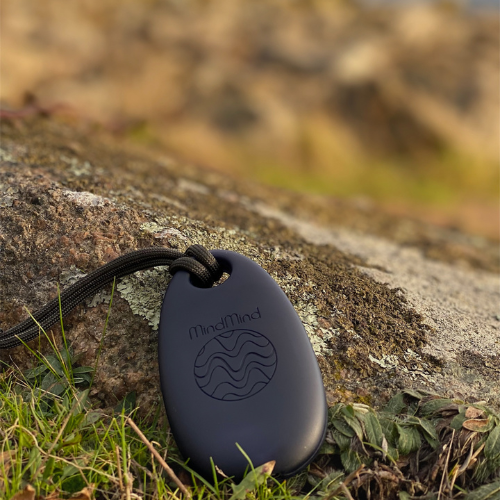 BiBi - Breathing Buddy